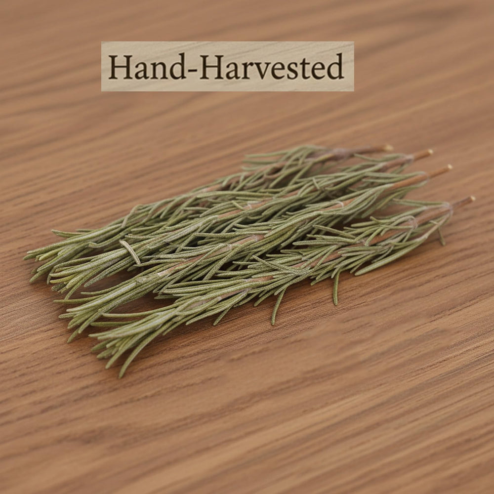 DYBOEDYO rosemary sprigs 5-8 inches long ideal for grilling and stuffing.