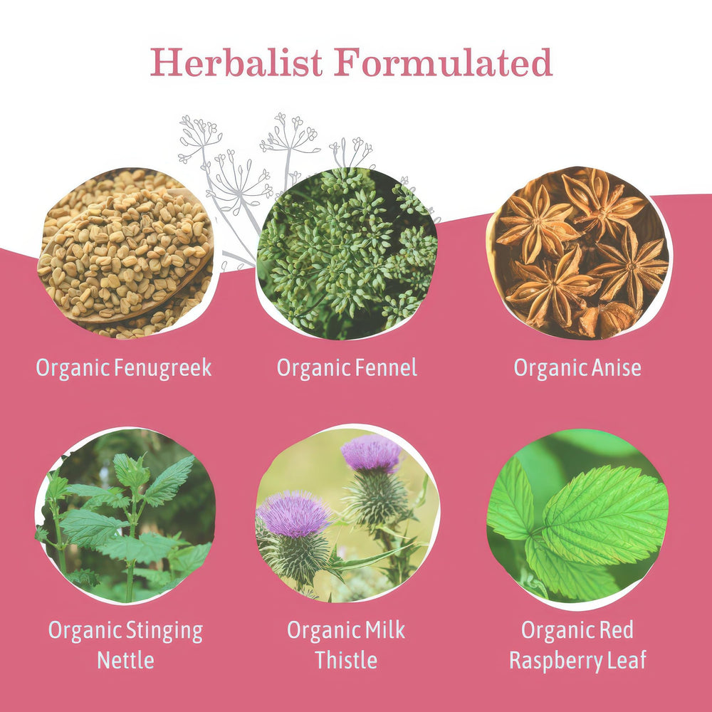 Earth Mama Milkmaid Tea fenugreek ingredient focus for a comforting aroma.