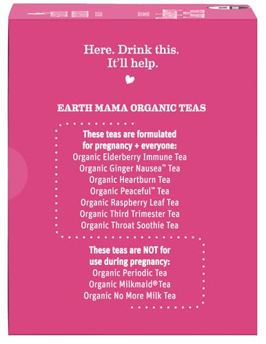 Earth Mama Organic Red Raspberry Leaf Tea box near a cozy home scene