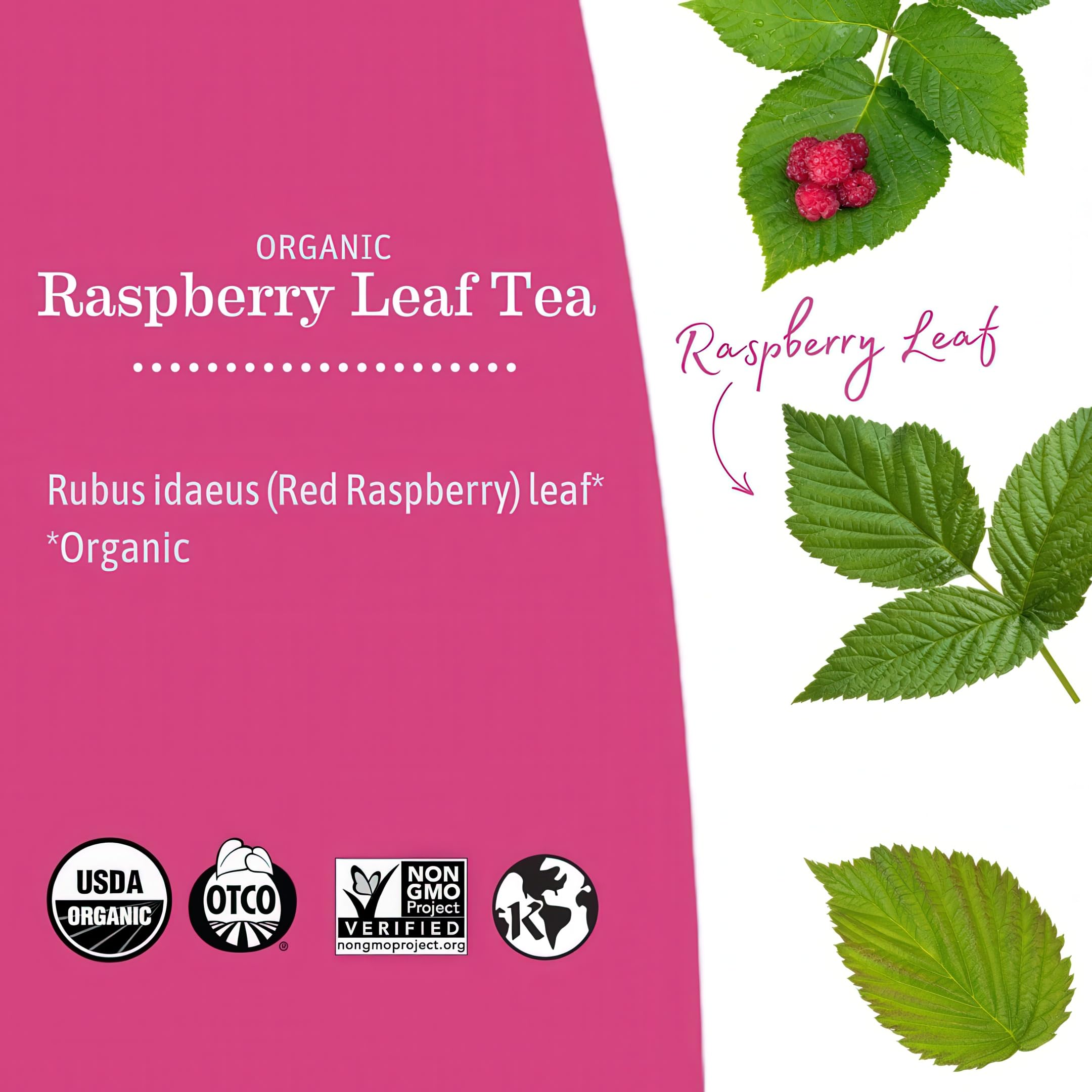 Earth Mama Organic Red Raspberry Leaf Tea being poured over ice in a glass