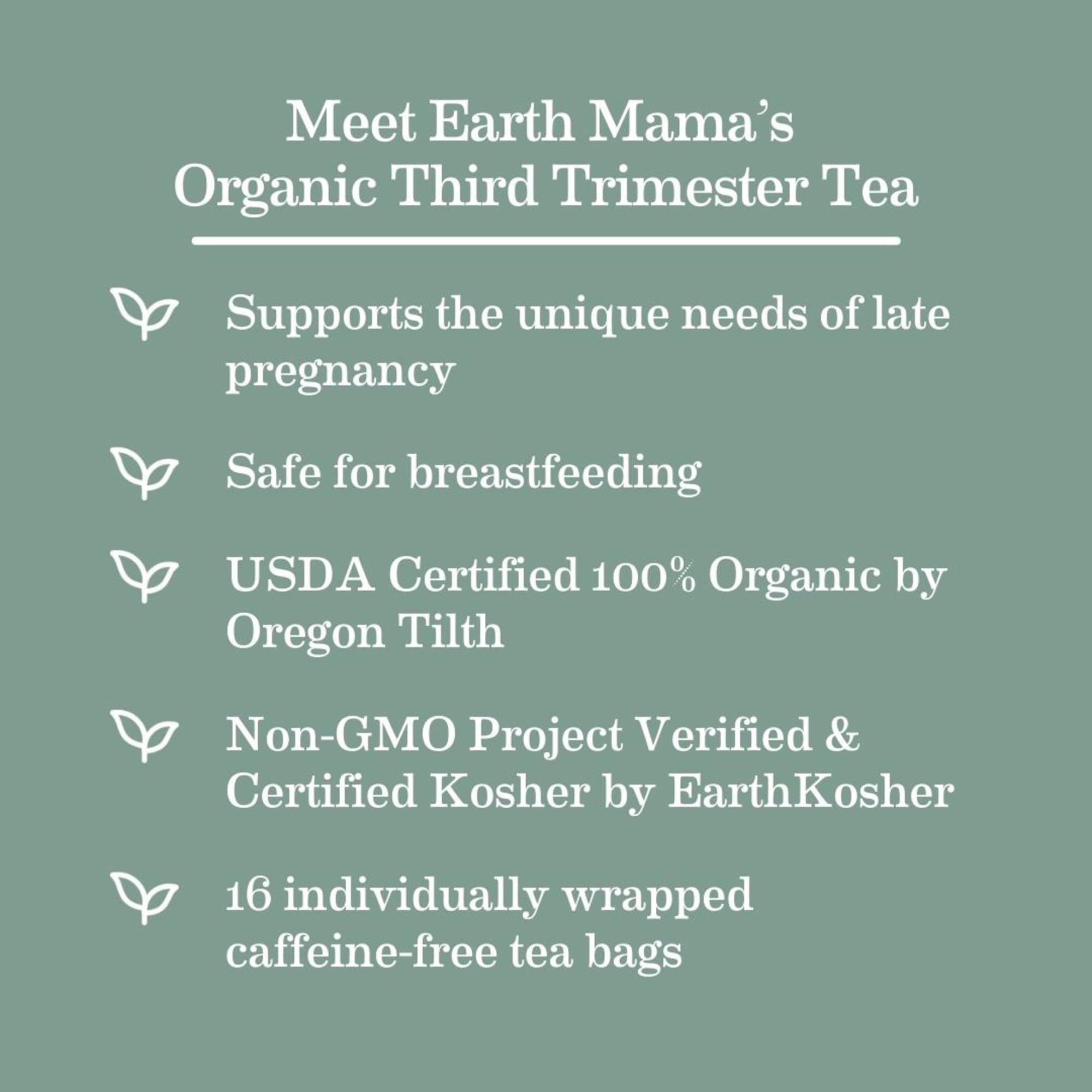 Earth Mama Third Trimester Tea bag close-up highlighting herbal blend.