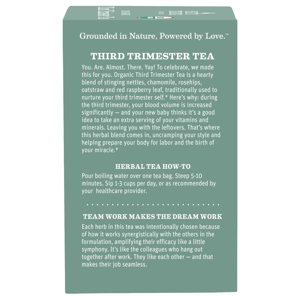 Earth Mama Third Trimester Tea served iced for refreshing finish.