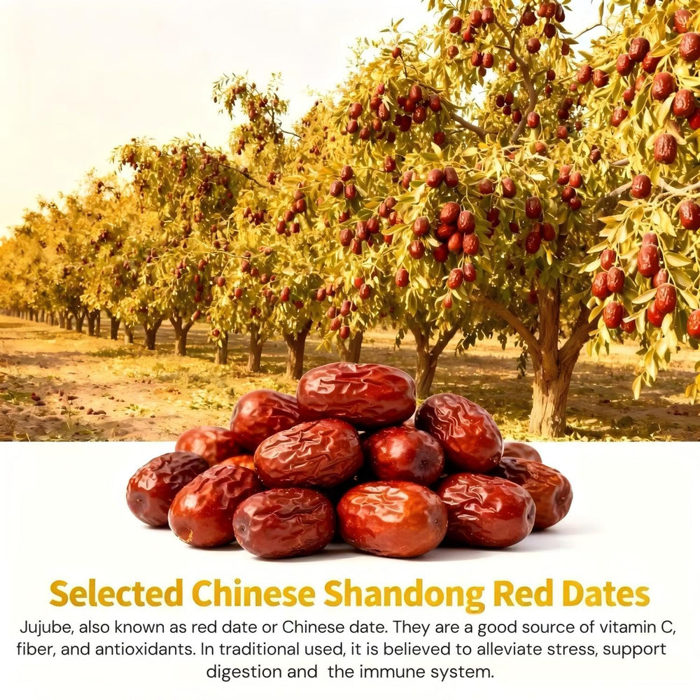 Red dates close-up in Eastrue Ginger Goji Tea emphasizing traditional flavor.