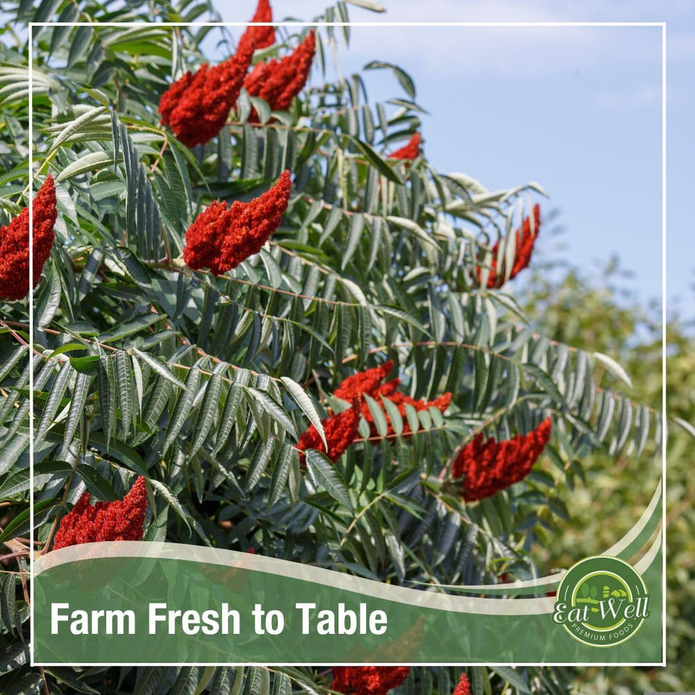Eat Well sumac coarse powder foreground highlights pure natural ingredients.
