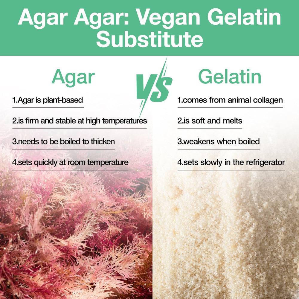 Eco-Taste Agar Powder vegan jelly ready in a mold, showing plant-based gel texture.