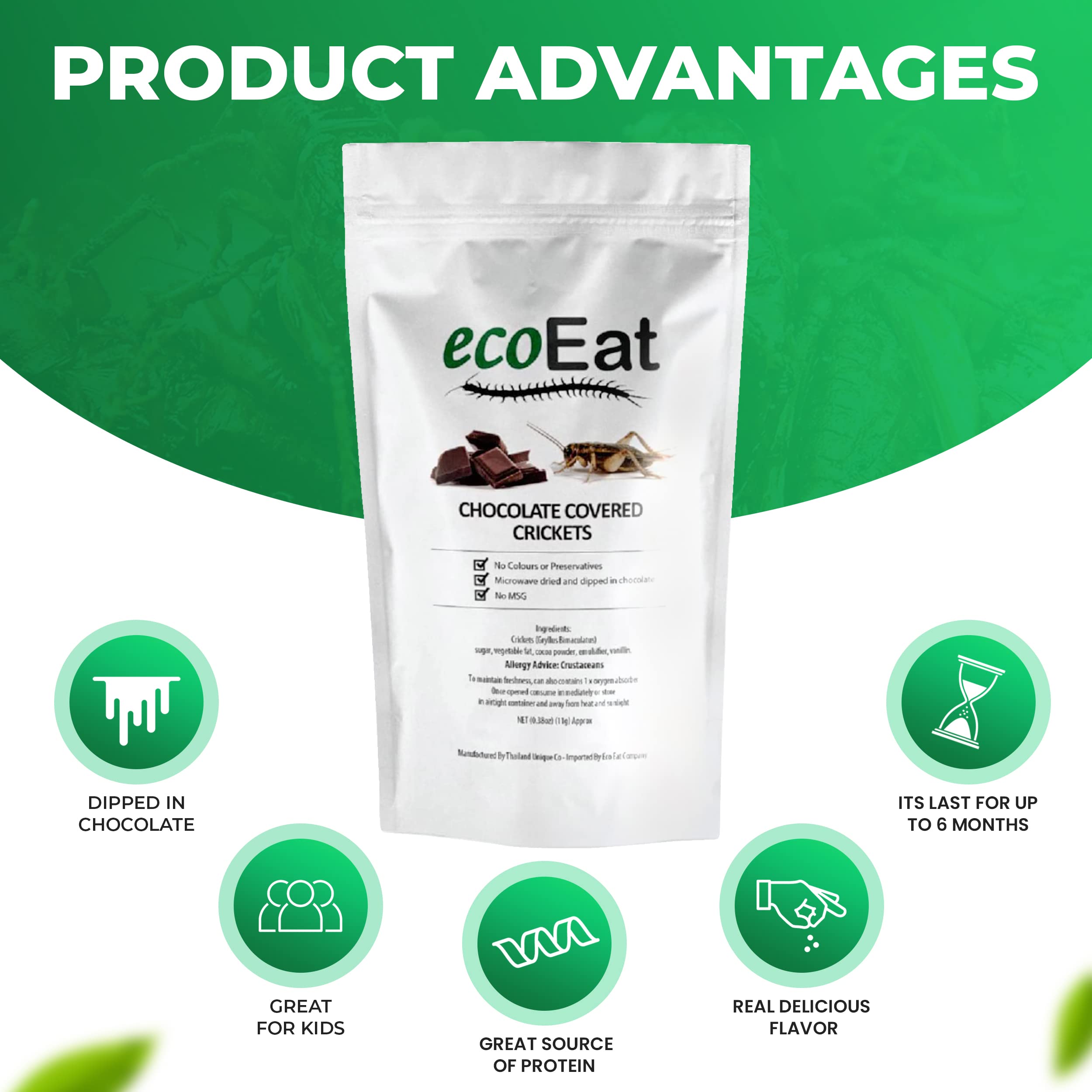ecoeat crickets crunchy texture with a rich chocolate coating