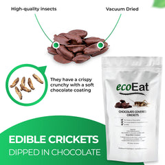 ecoeat dark chocolate coated crickets with smooth shell and earthy notes