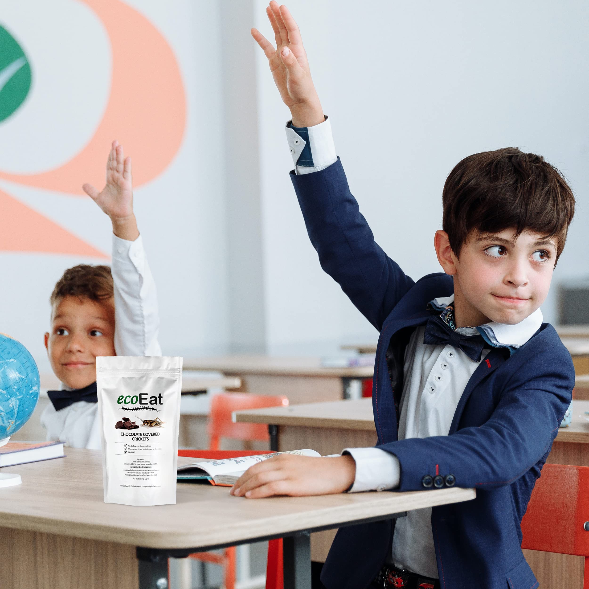 ecoeat farm raised edible insects provide sustainable protein option