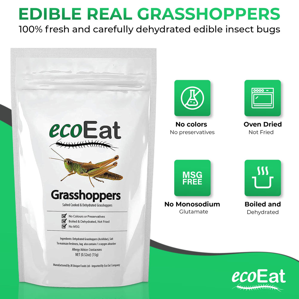 ecoEat grasshoppers close-up, salt-seasoned and ready to enjoy.