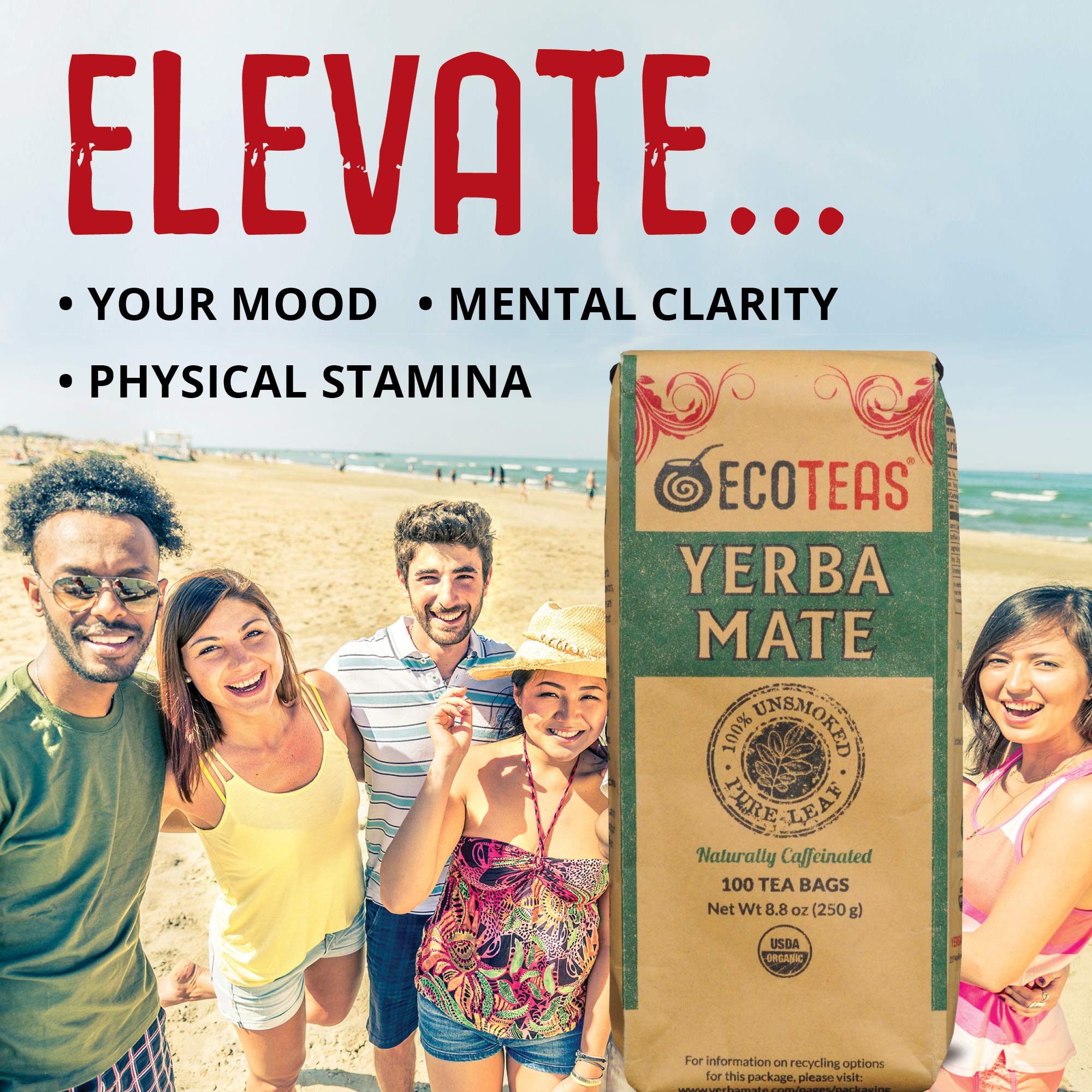 Gluten-free and non-GMO ECOTEAS tea bags for everyday wellness routines