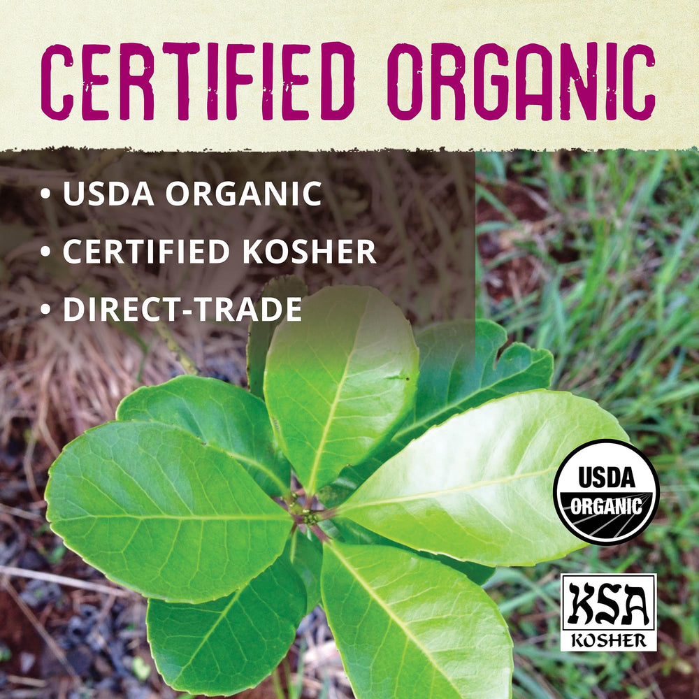 Peppermint notes meet earthy yerba mate in ECOTEAS Holy Mate.