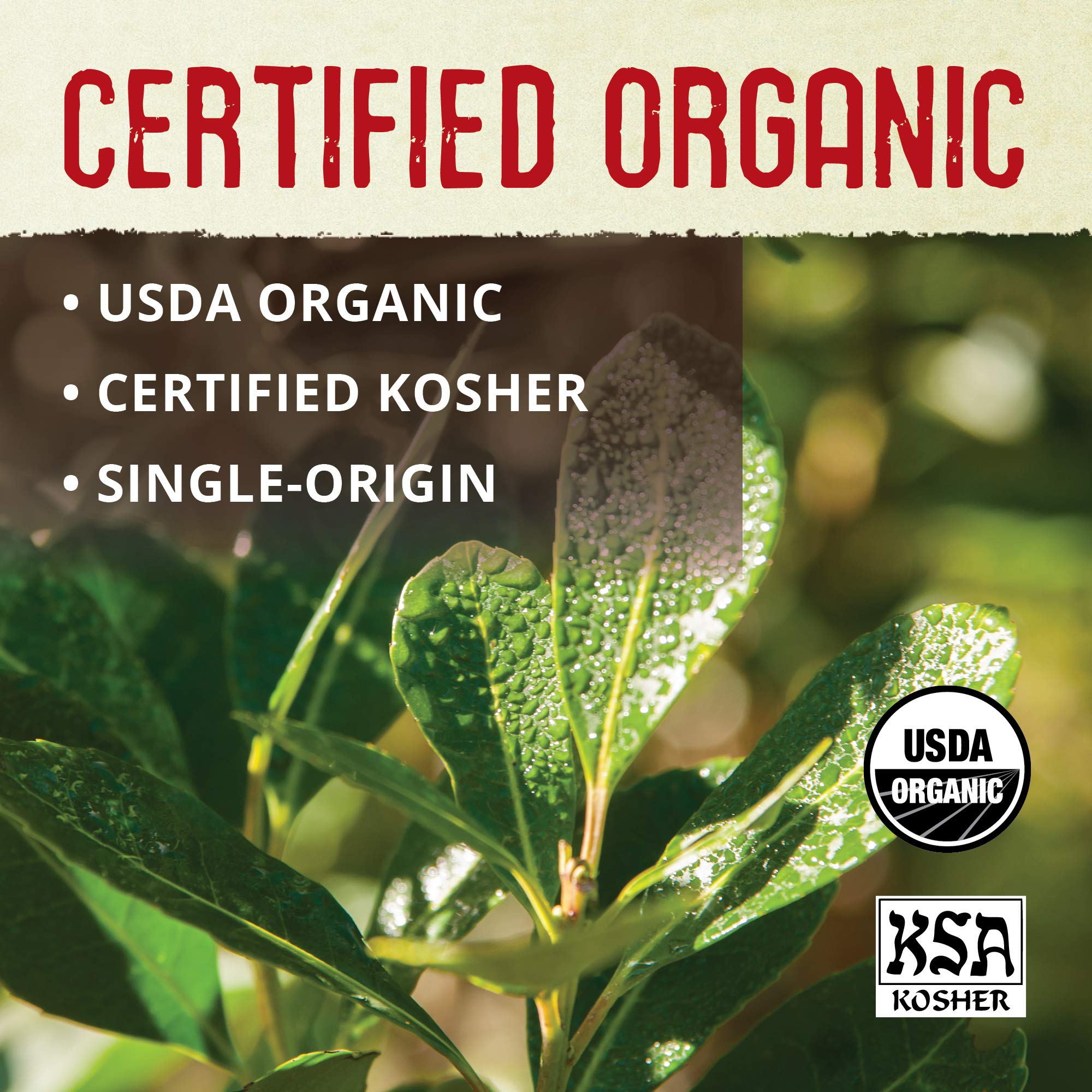 Low-acid formula of ECOTEAS Yerba Mate supports a gentle caffeine experience.