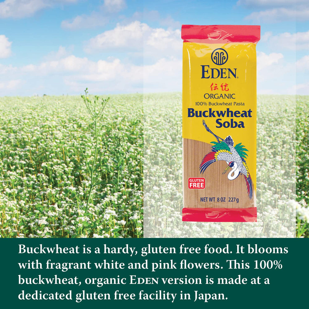 Cooked Eden soba noodles in a steaming bowl, ideal with broths.