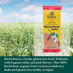 Cooked Eden soba noodles in a steaming bowl, ideal with broths.