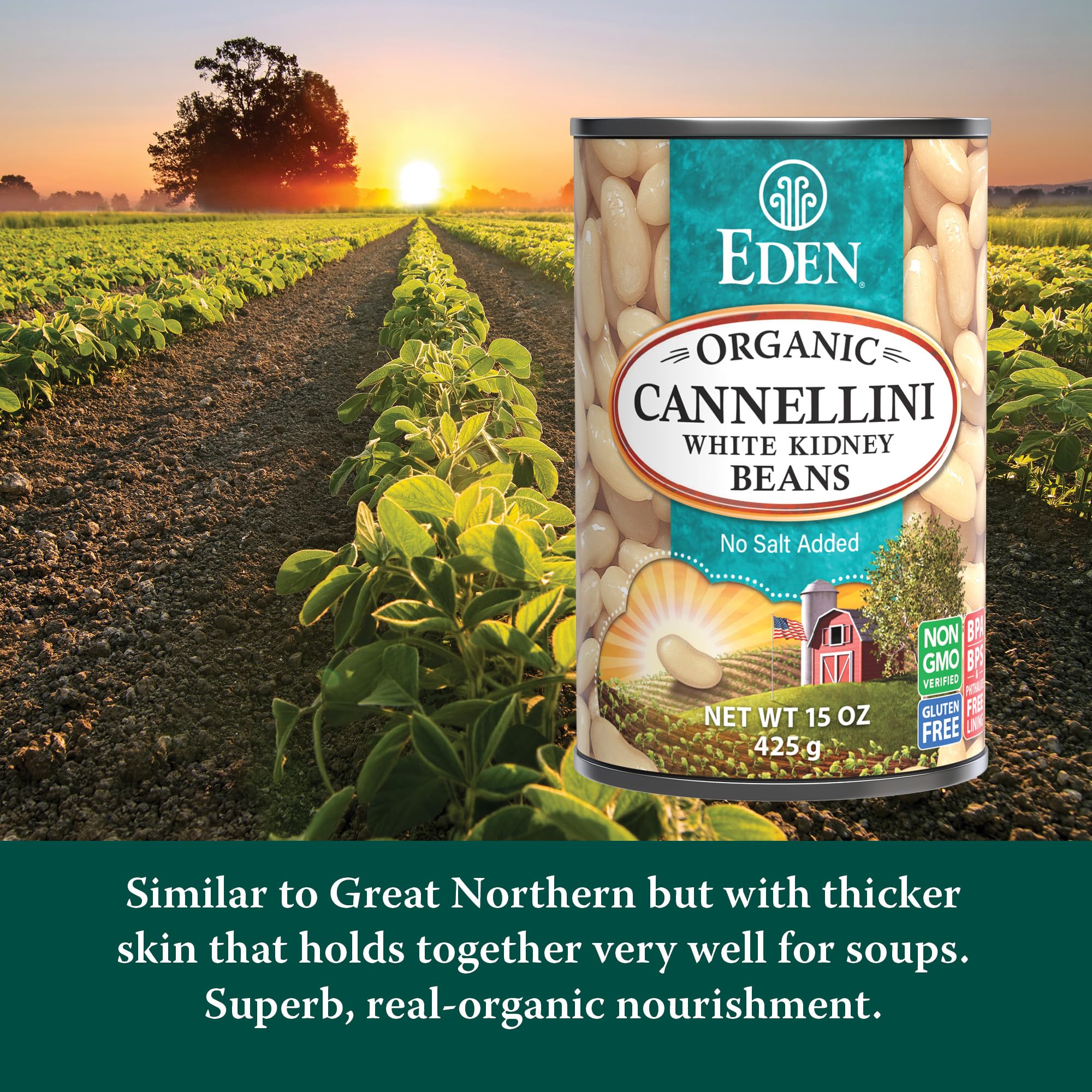 Eden Cannellini beans in a comforting soup with herbs and broth.