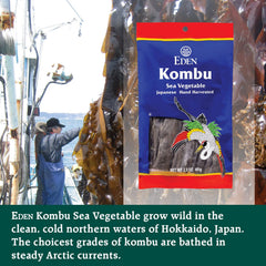 Eden Kombu seaweed slices in packaging ideal for quick umami boosts