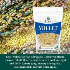 Cooking millet porridge on a stovetop with Eden Millet.
