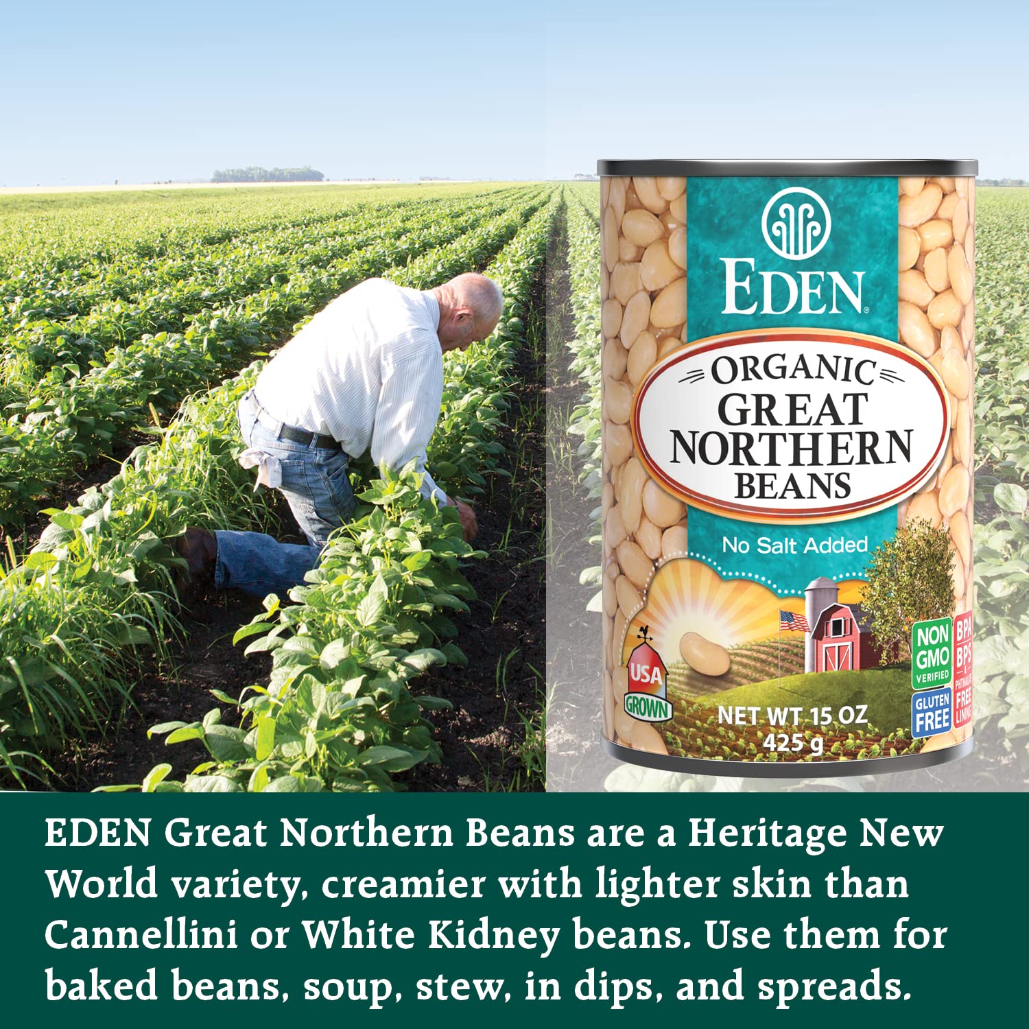 Eden Organic Beans in a bowl, creamy texture ideal for soups, salads, and stews.