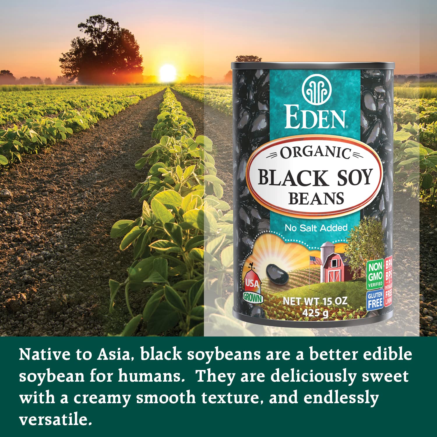 Close-up of Eden Black Soybeans beans, glossy and ready to cook.