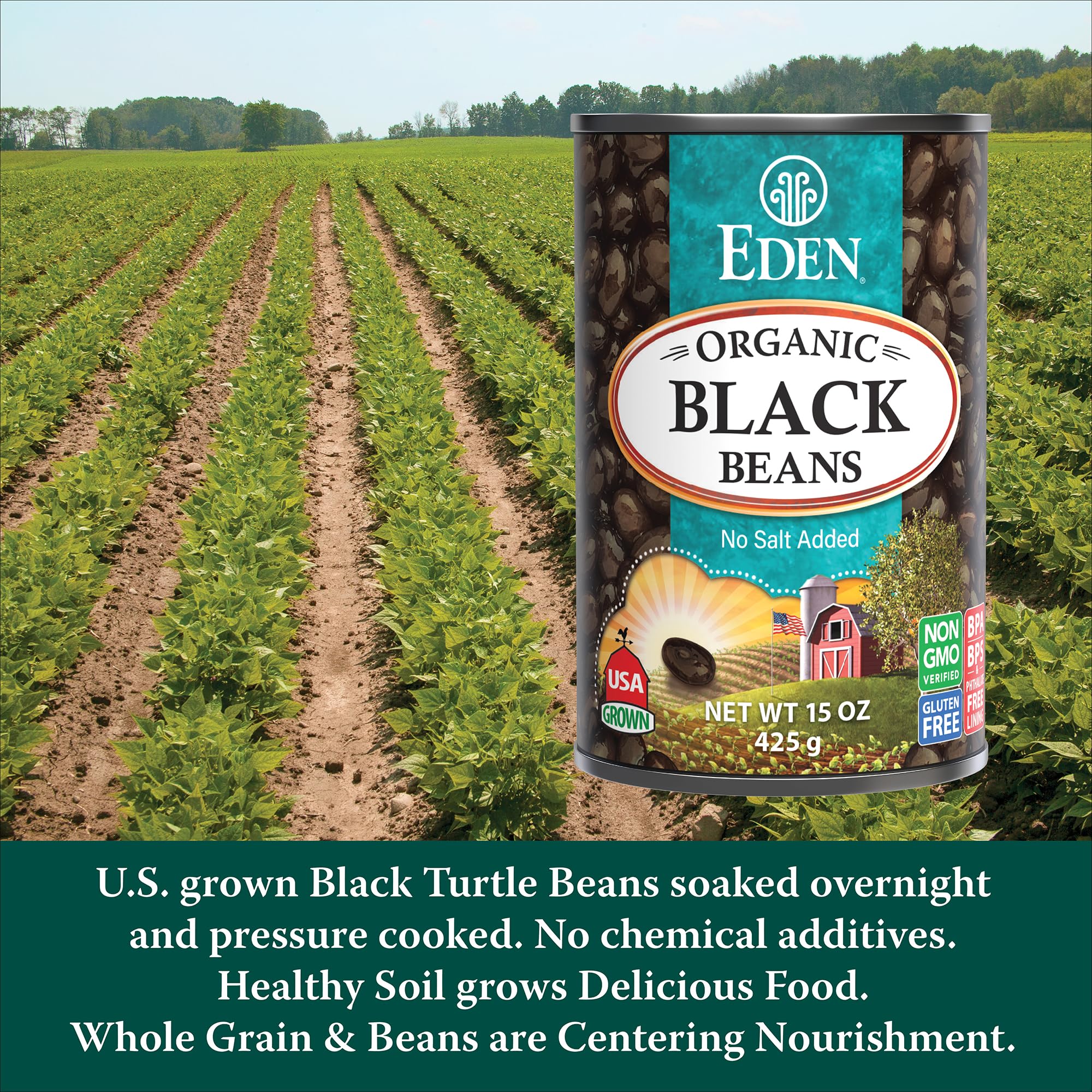 Front label shows no salt added and non-GMO sourcing for Eden black beans