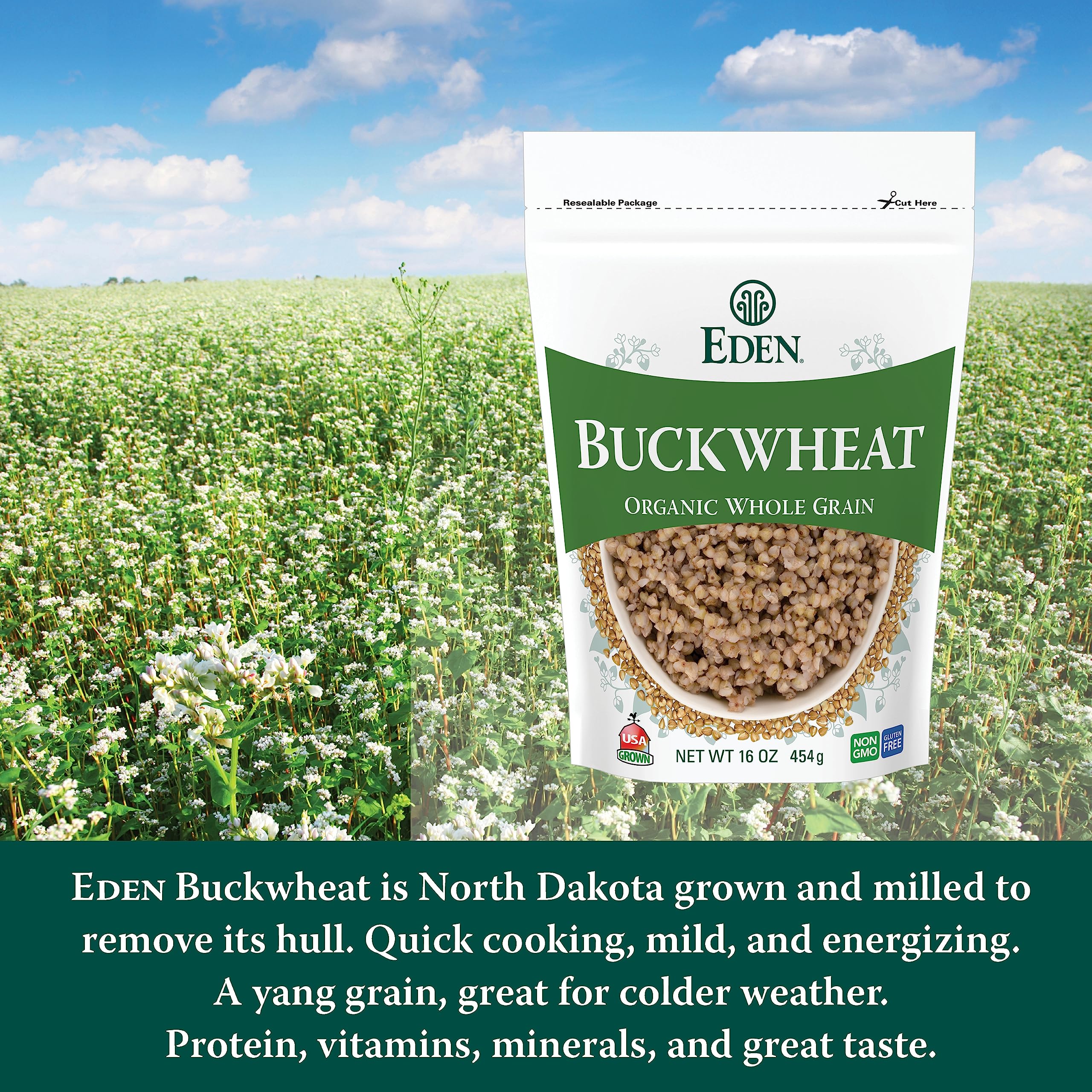 Eden Organic Buckwheat grains closeup, earthy kernels ready to cook