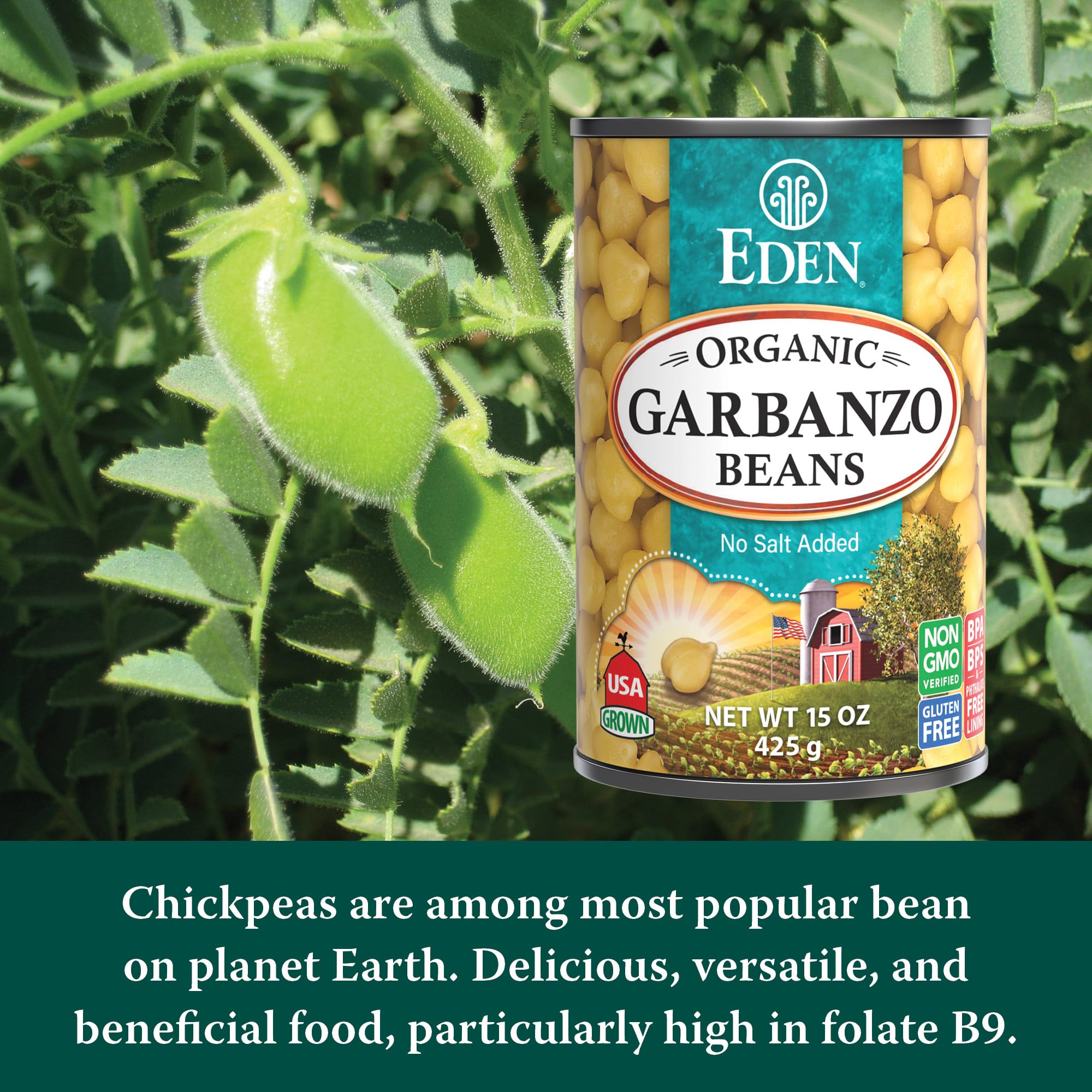 Eden Organic Garbanzo Beans aquafaba liquid for vegan baking