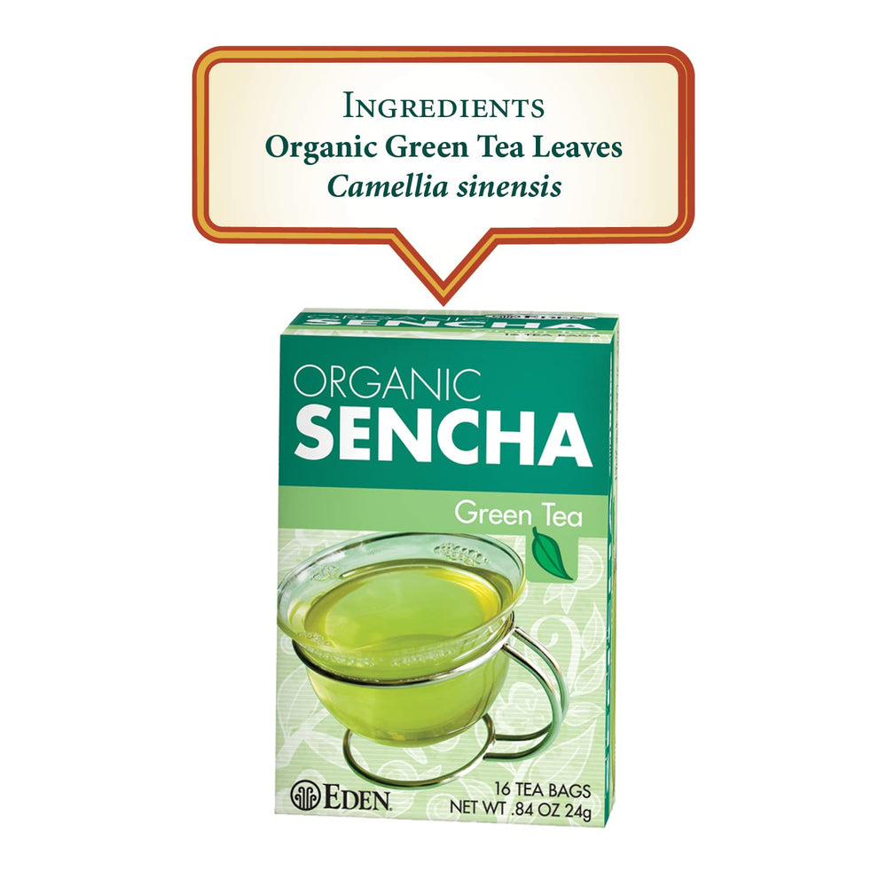 Eden Sencha tea brewed cup steaming, highlighting vibrant color and uplifting aroma