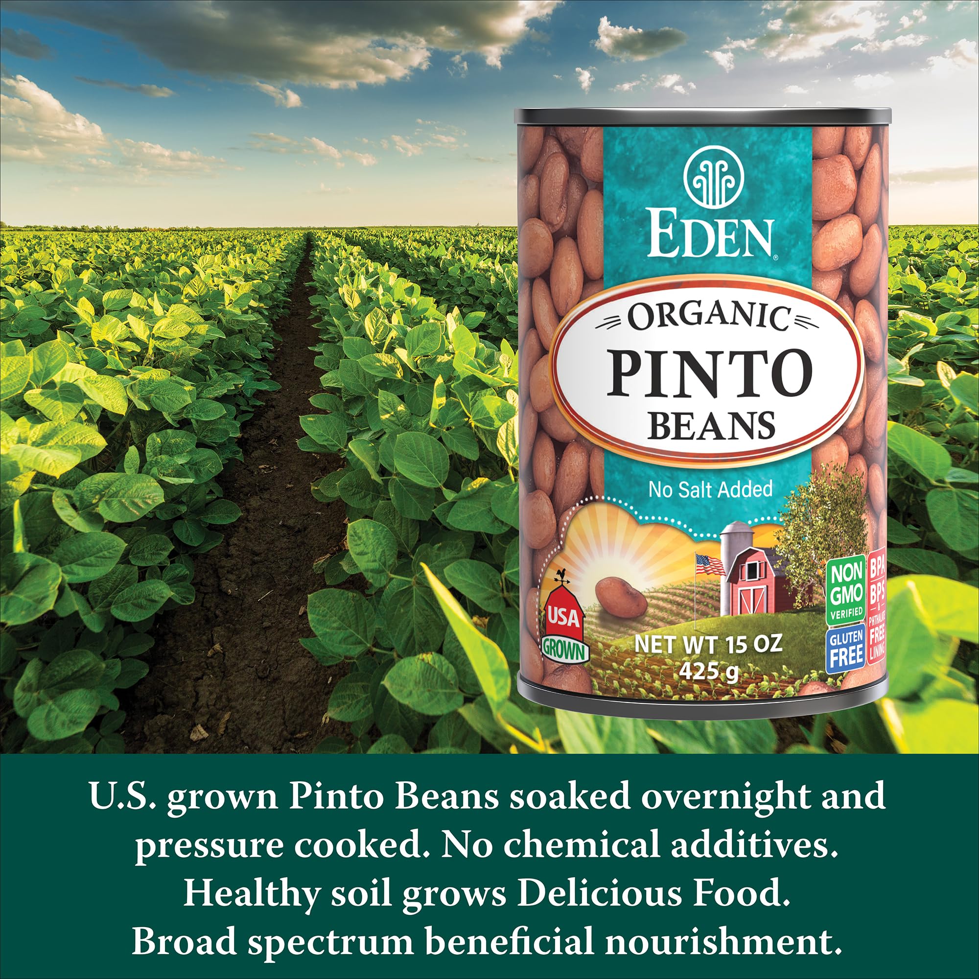 Eden Pinto Beans serving bowl emphasizes ready-to-eat protein for bowls and soups.