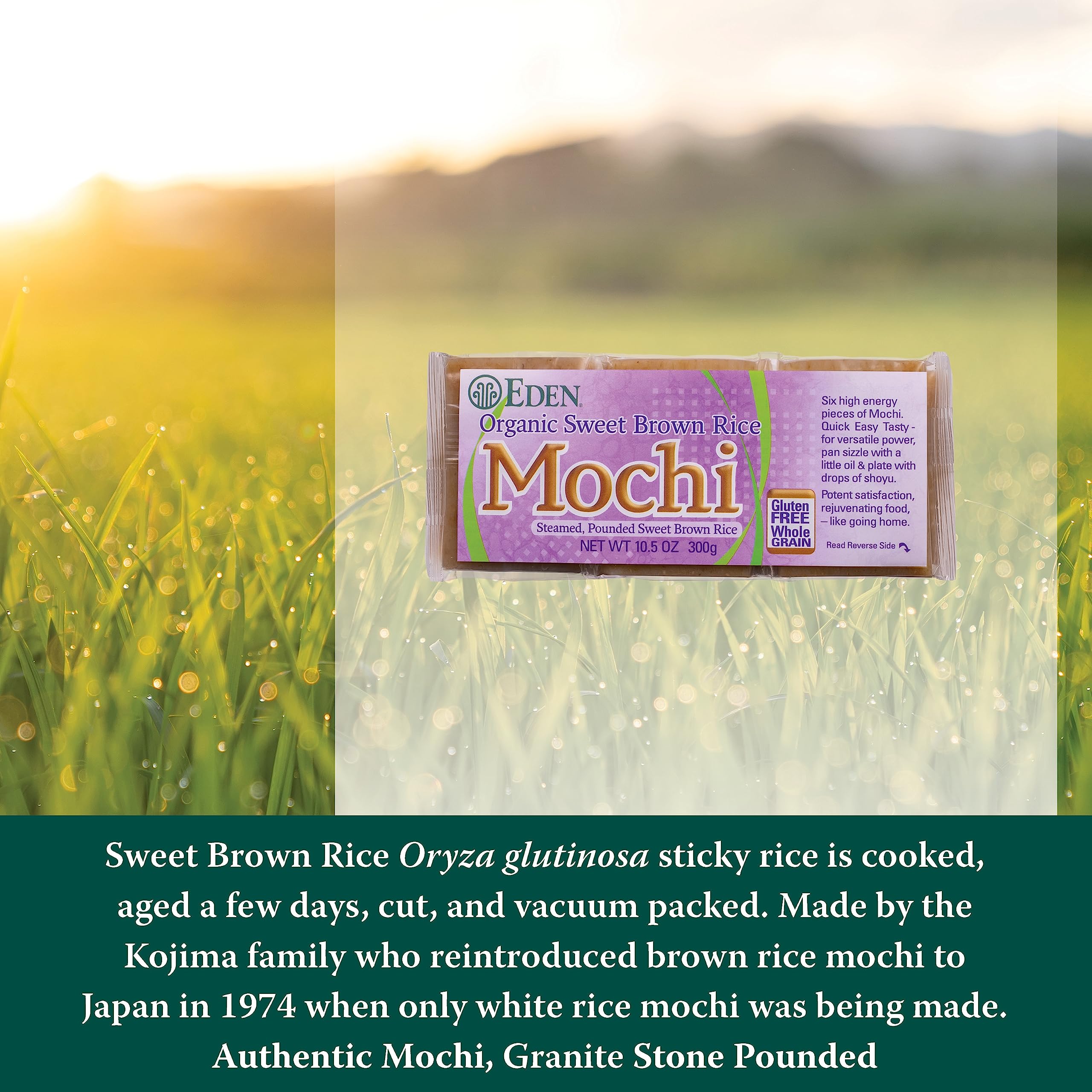 Eden Mochi close-up shows soft, chewy texture ideal for treats.