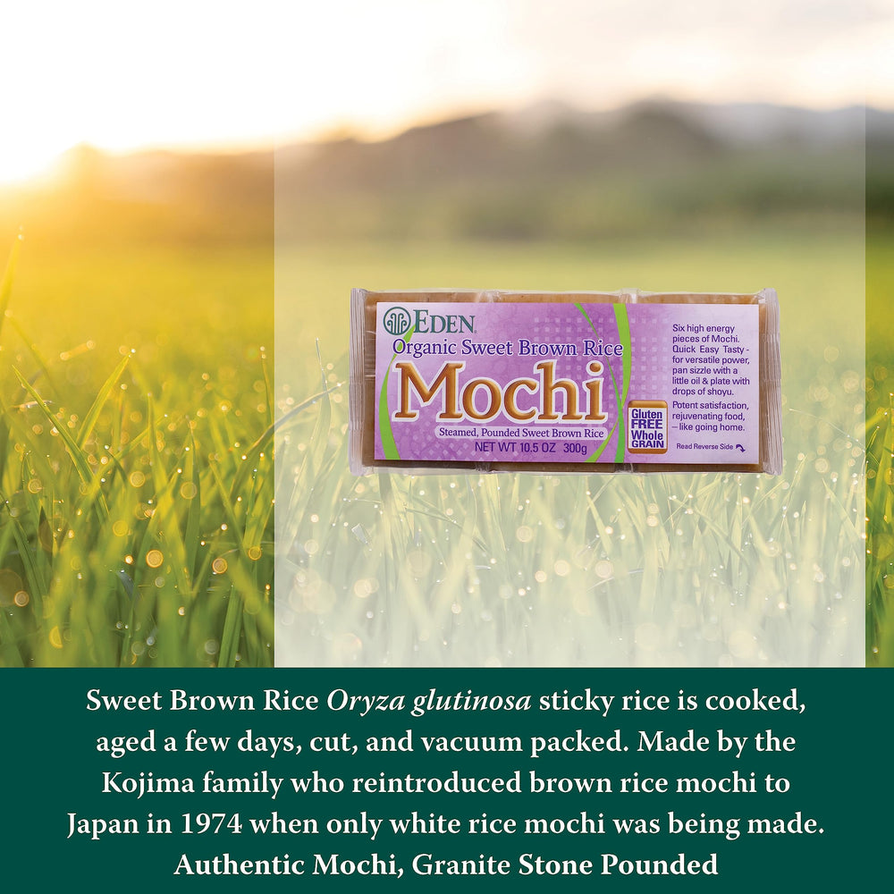 Eden Mochi close-up shows soft, chewy texture ideal for treats.