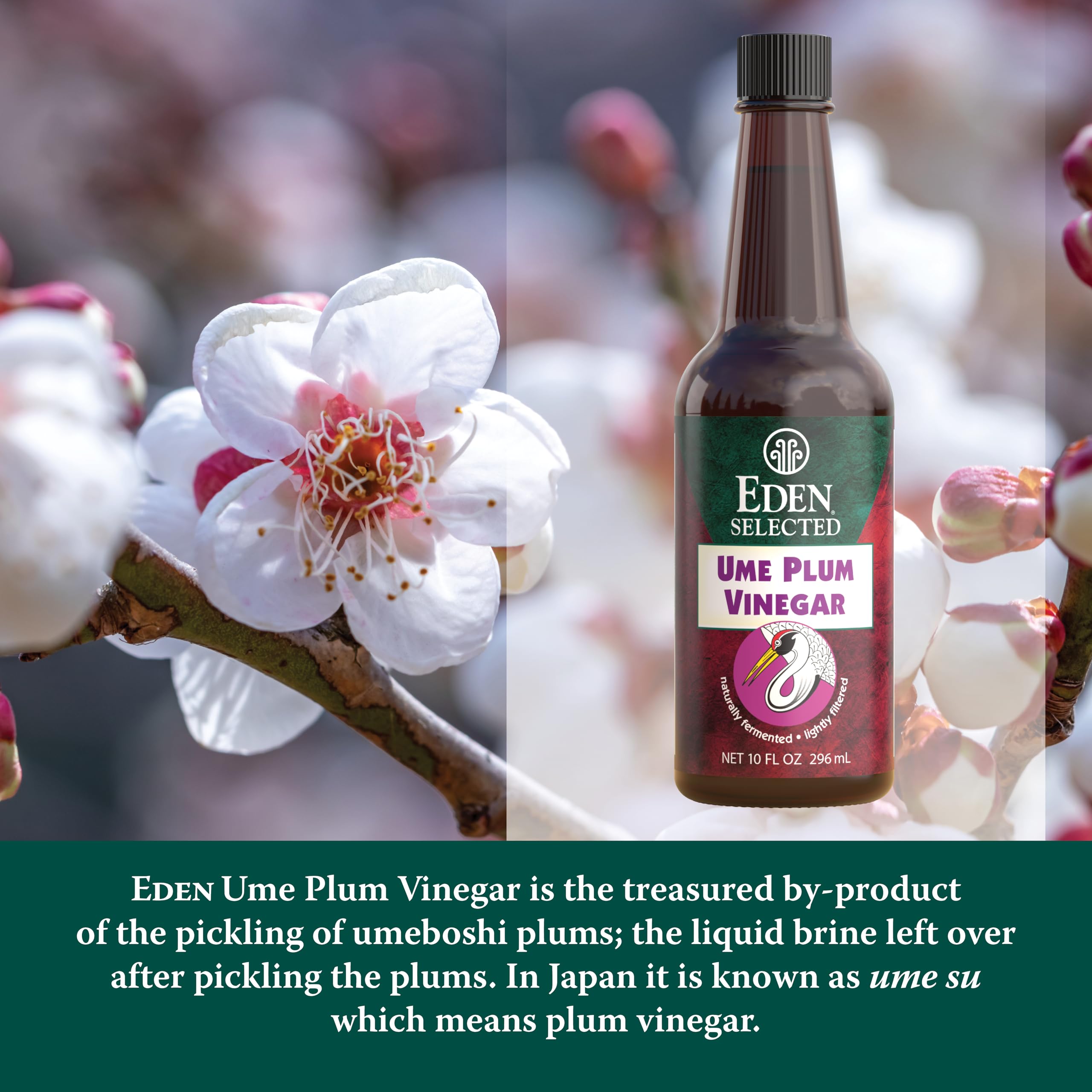 Eden Ume Plum Vinegar dressing bowl adds tangy zest.