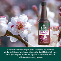 Close-up of Eden Ume Plum Vinegar label with traditional production mark.