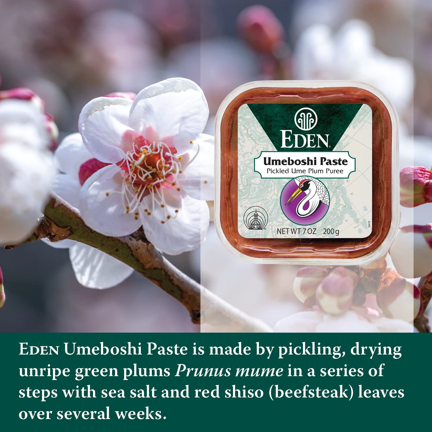 Spoonful of Eden Umeboshi Paste on sushi rice for bright, tangy notes.