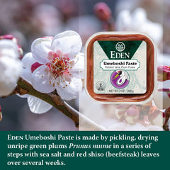 Spoonful of Eden Umeboshi Paste on sushi rice for bright, tangy notes.