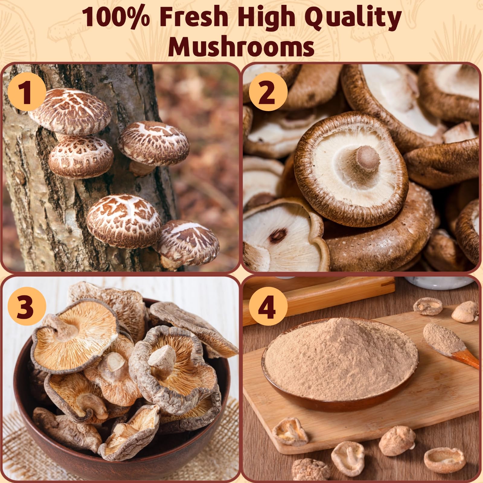Egcina shiitake powder stirred into hot liquid for consistent flavor.