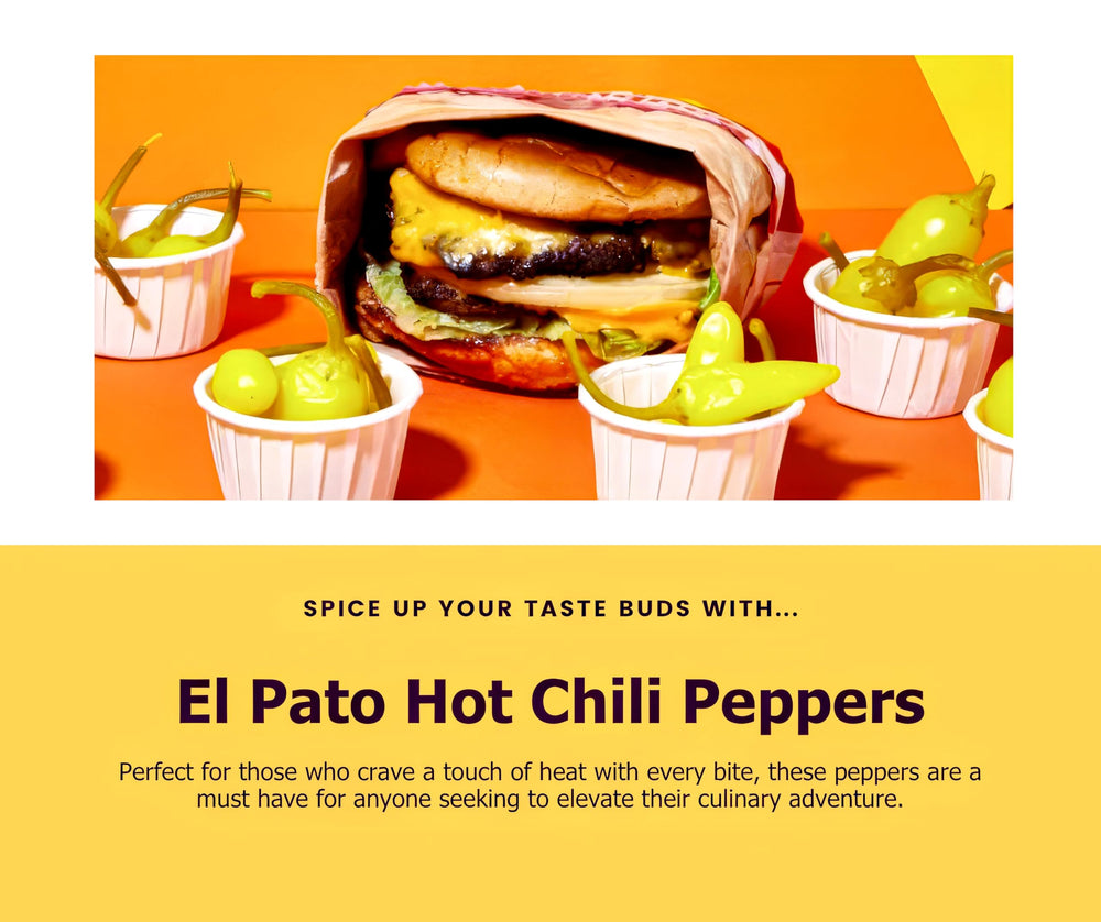 El Pato kitchen scene evokes bold flavors ready to spice your meals