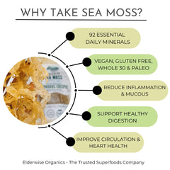 Elderwise Organics sea moss wash and prep ready for gel blending.