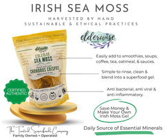 Elderwise Organics wildcrafted Irish Sea Moss harvest scene for mineral-rich daily nutrition.