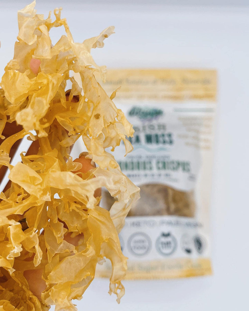 Elderwise Organics sea moss gel poured into smoothie or yogurt.