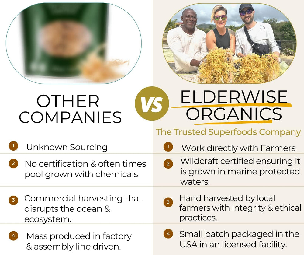 Elderwise Sea Moss Wildcrafted sourced from marine protected area for clean origin