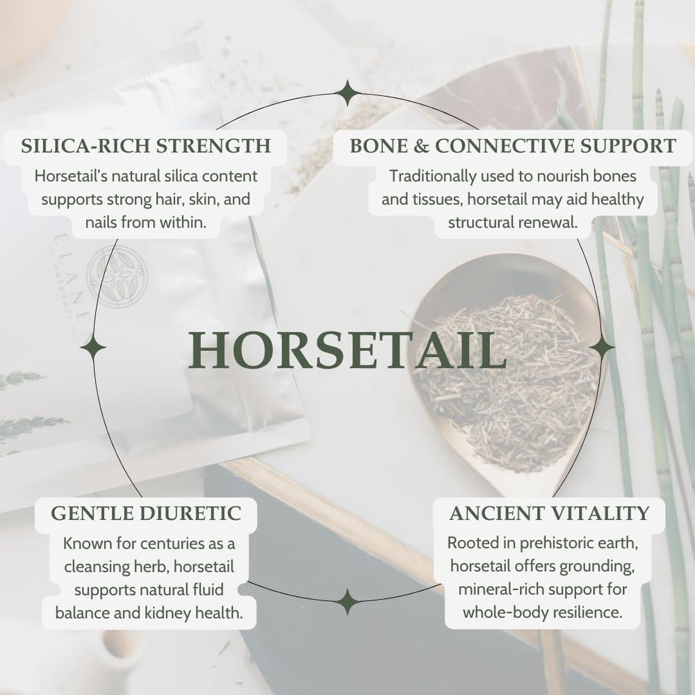 Elanen Naturals Horsetail herb hand selected by herbalist