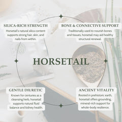 Elanen Naturals Horsetail herb hand selected by herbalist