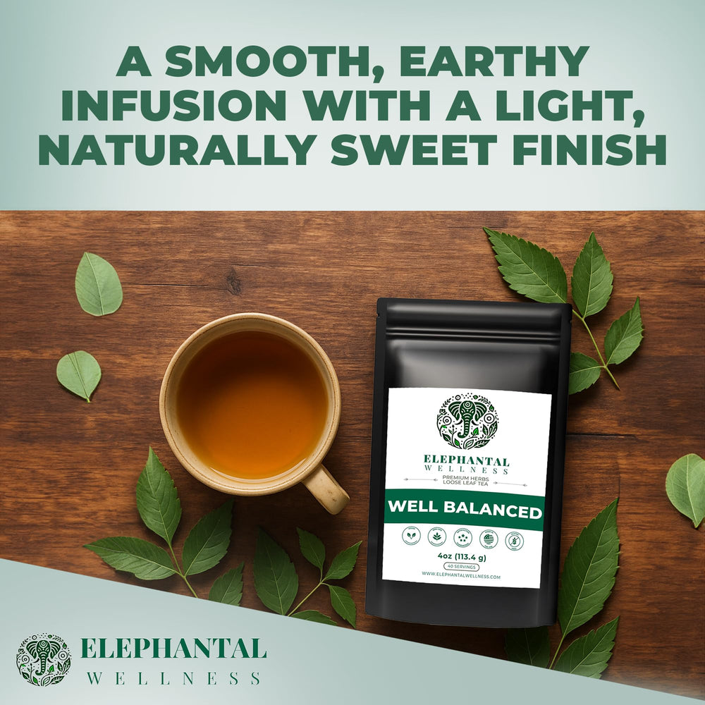 Elephantal Wellness Goji berry closeup suggesting immune-friendly energy