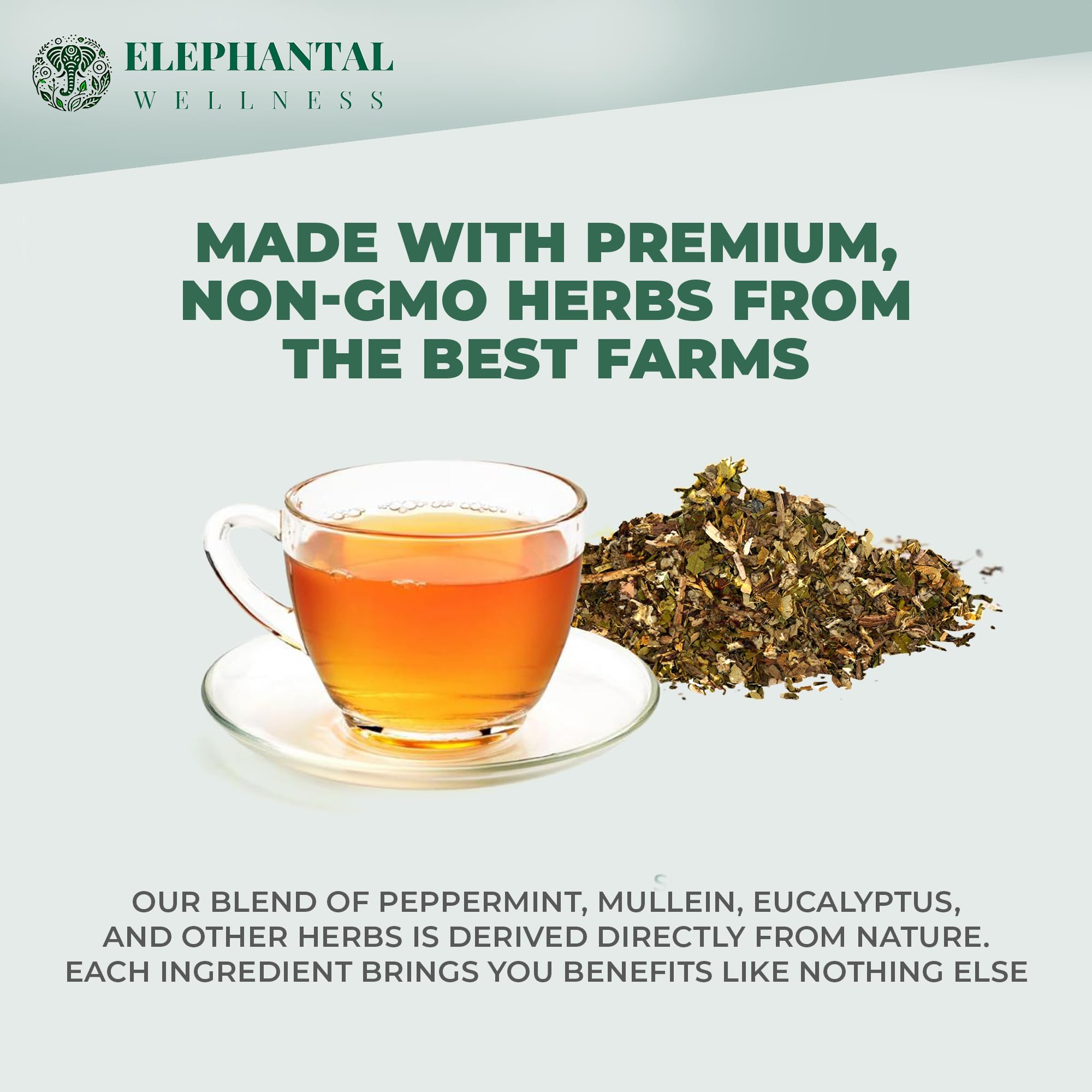 Elephantal Wellness Herbal tea spotlight mullein and lungwort for breathing aroma