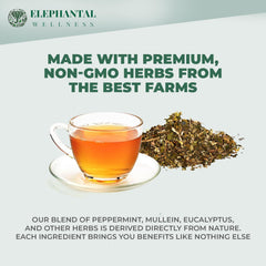 Elephantal Wellness Herbal tea spotlight mullein and lungwort for breathing aroma