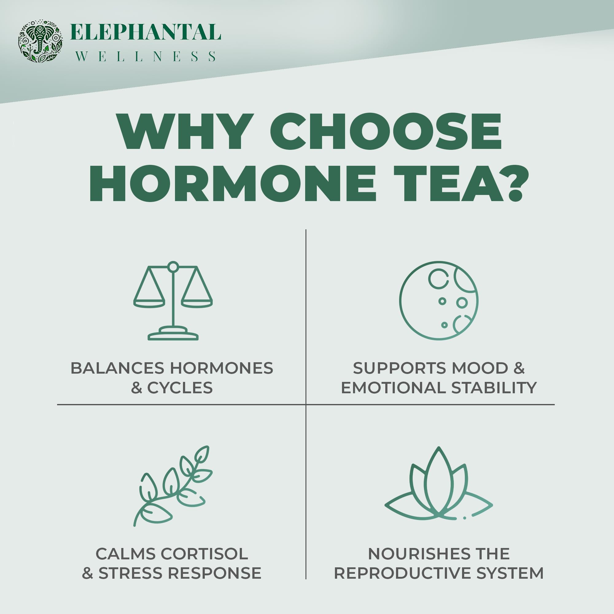 Elephantal Wellness loose-leaf tea close-up, caffeine-free herbal blend ready to steep.