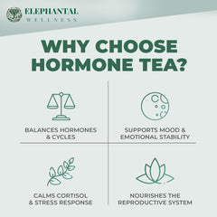 Elephantal Wellness loose-leaf tea close-up, caffeine-free herbal blend ready to steep.