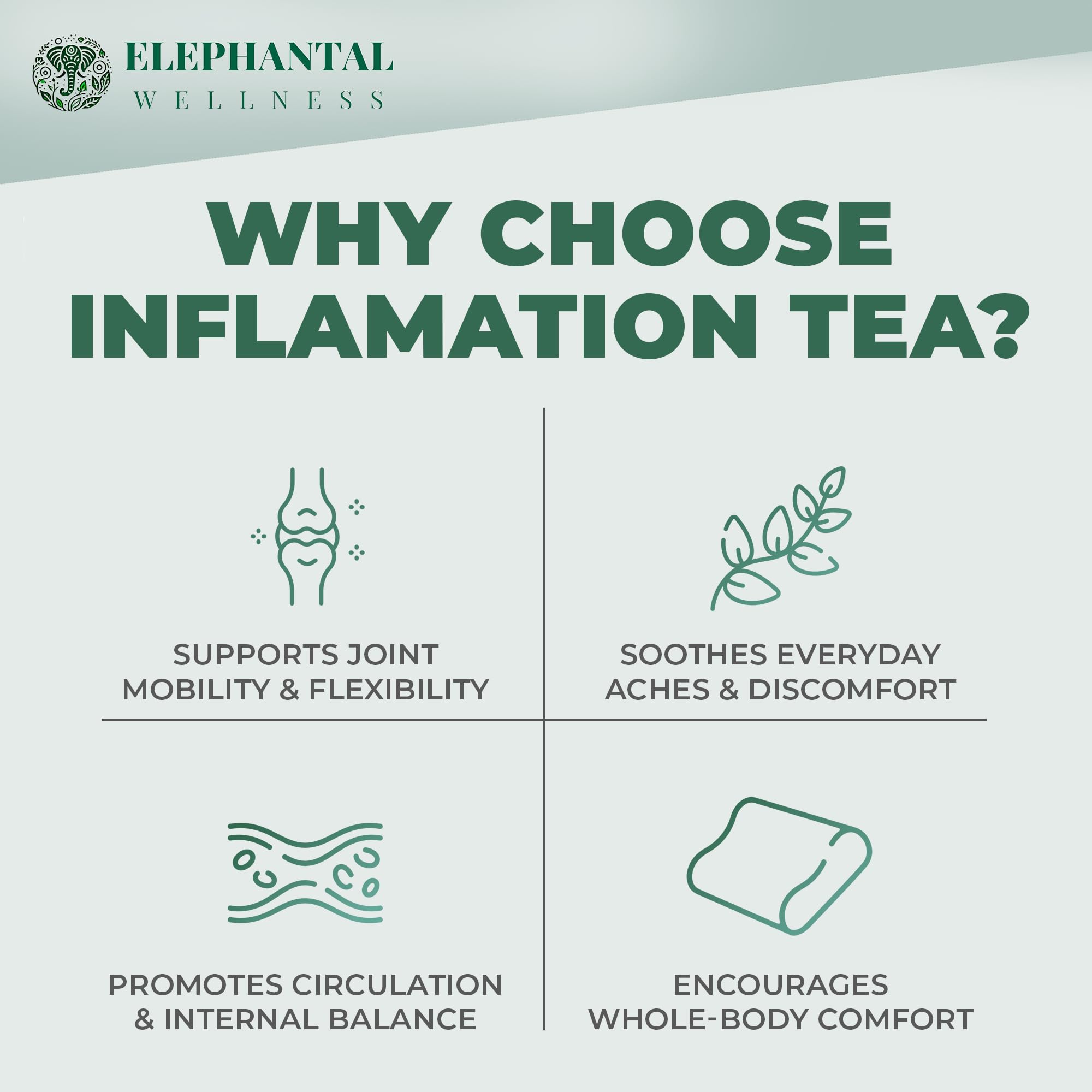 Elephantal Wellness ginger-cinnamon parsley brew supports circulation during activity.