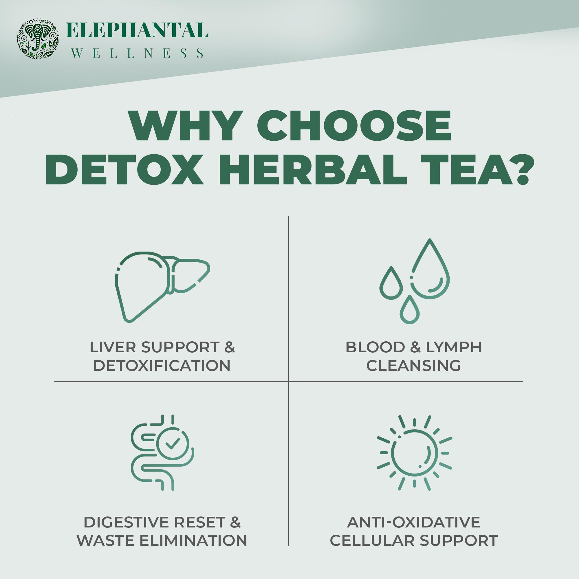 Elephantal Wellness turmeric-ginger-cayenne mix, suggesting improved digestion and circulation.