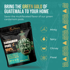 Eletary cardamom pods ideal for Indian cuisine with vibrant aroma.